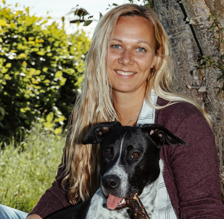 pferde-verstehen-catherine-seib