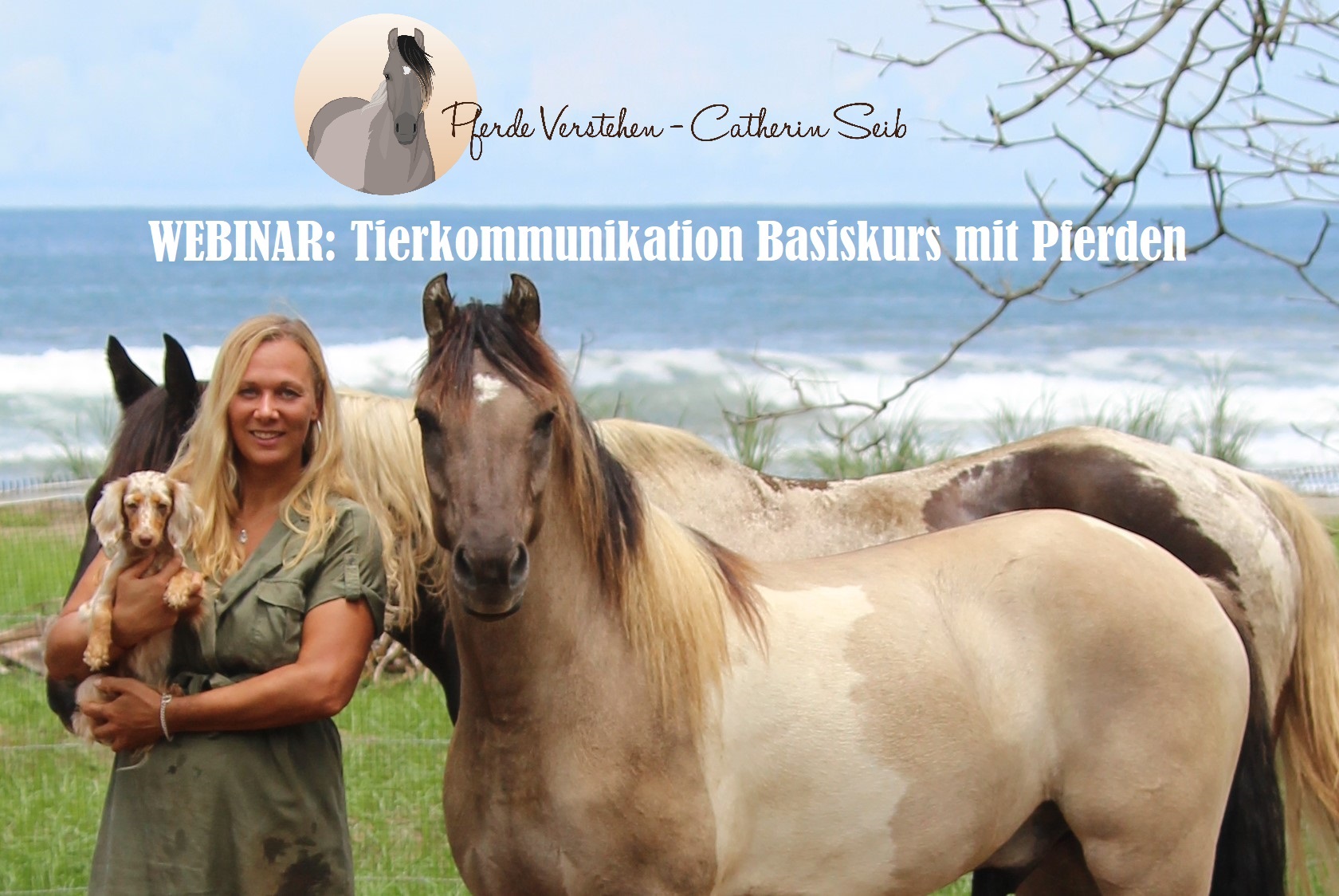 Webinar Tierkommunikation