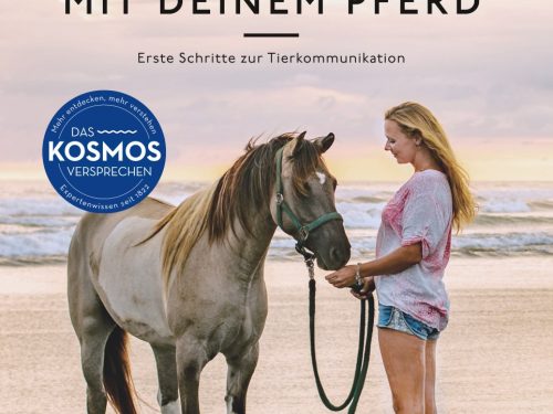 Gespräche mit deinem Pferd
