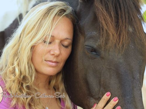 Tierkommunikation Online-Kurs Sprich mit deinem Pferd