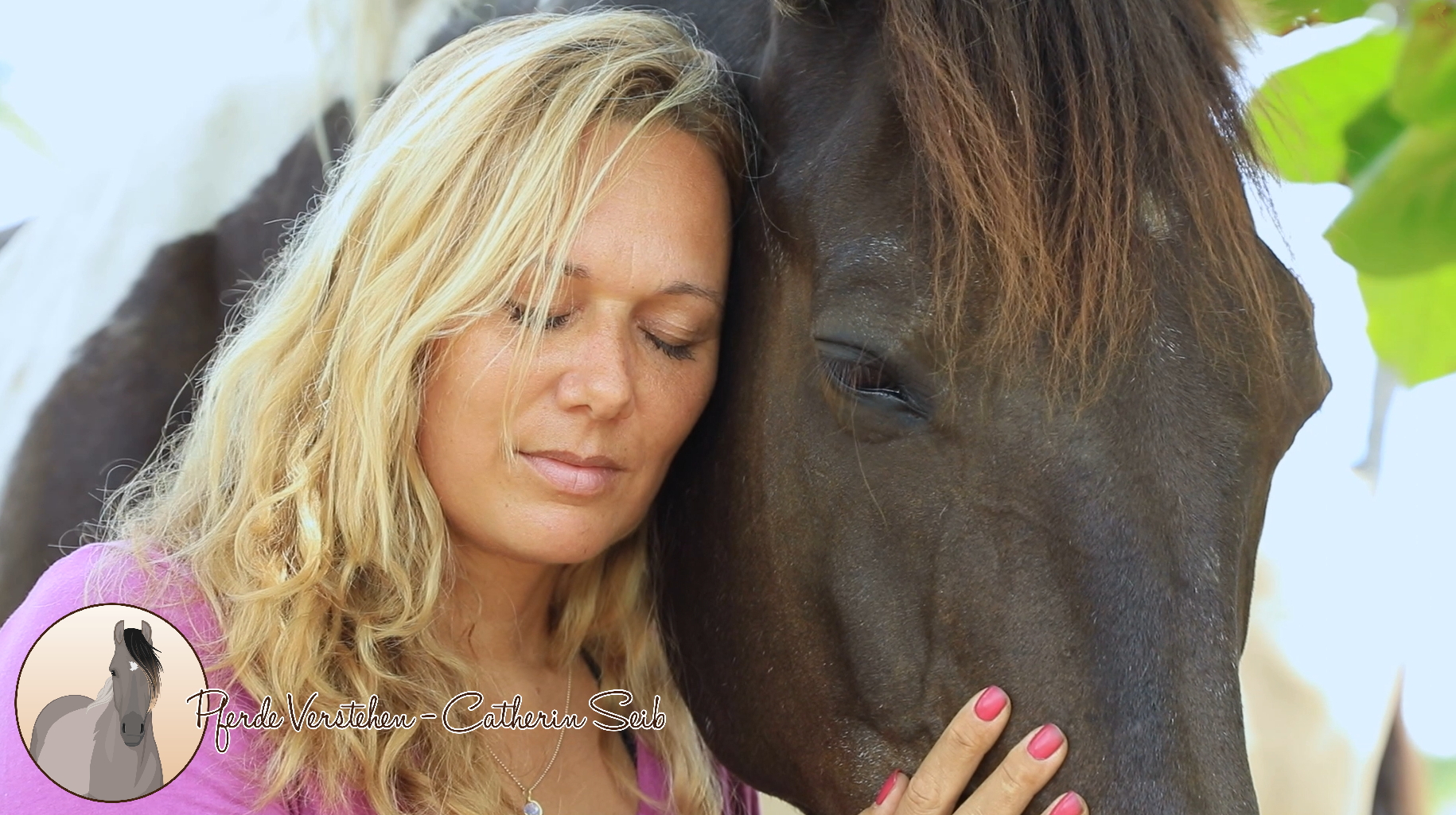 Tierkommunikation Online-Kurs Sprich mit deinem Pferd